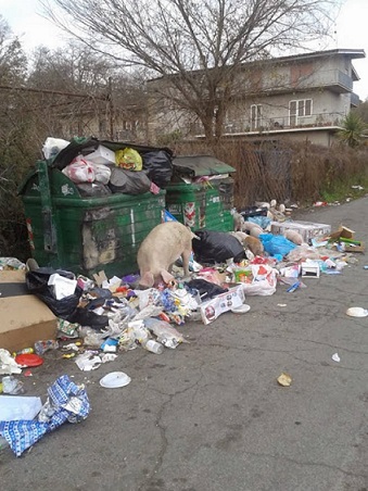 Benvenuti nella Roma del Giubileo a passo Dantesco