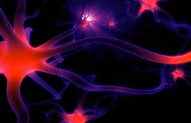 Parkinson: lo stress ossidativo porta alla morte delle cellule cerebrali