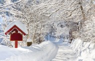 L'inverno nel paese delle nevi