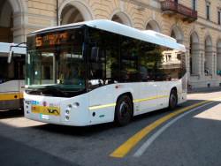 novara bus