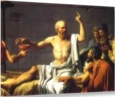 politiche carnea