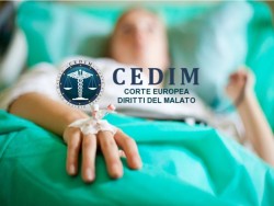format-cedim-2