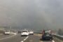 Ancora incendi in tutta Italia, brucia la Puglia. Vasto incendio a Peschici