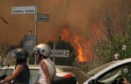 Distrutta la pineta di Castelfusano; indignazione al lido di Roma per il maxi incendio
