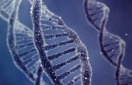 Interventi sul Dna; primi effetti della ricerca per la cura delle patologie cardiache