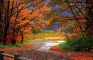 Il fascino dell'equinozio d'autunno, un viaggio fuori dal tempo nella notte uguale