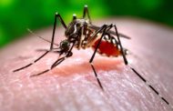 Virus Chikungunya; la Regione Lazio attiva nuove procedure operative per i donatori