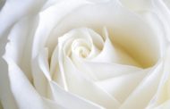 Il bianco; il colore dello spettro luminoso di pace per lo spirito e per la mente