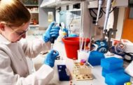 Spesa farmaceutica, storica sentenza: ridurre la spesa senza intaccare la qualità e l'accesso alle cure